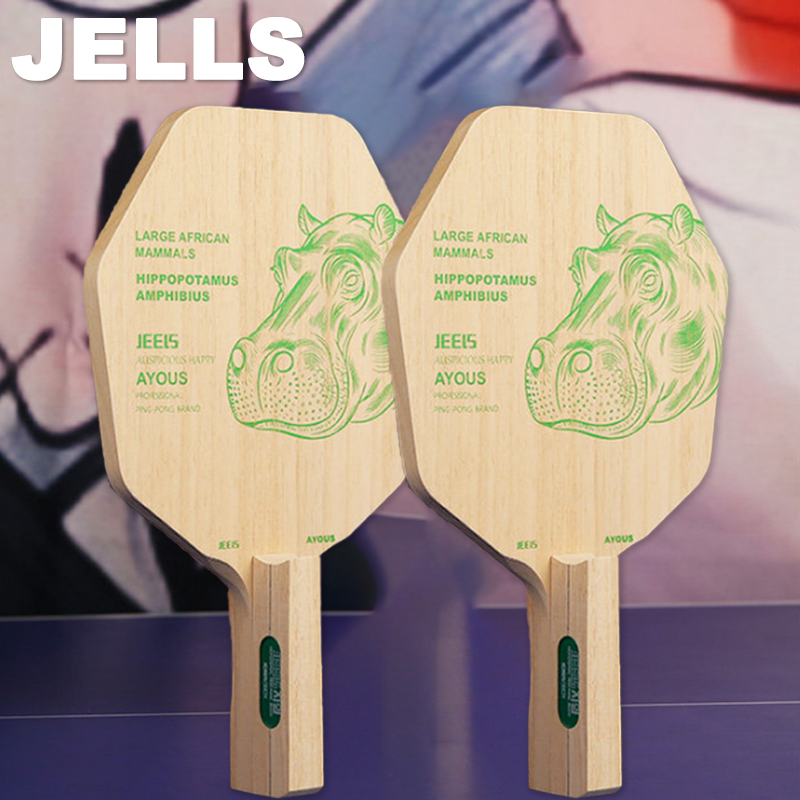 Racchetta da Ping Pong JEELS i - Table Tennis Paddle recensione e prezzo